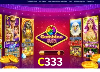 C333 Rio de Janeiro - Bonus Terms